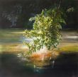 200,-60x60Rednitz_3_Sonnenfang.jpg